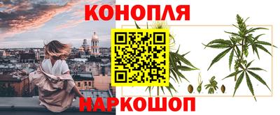 СК Пенза